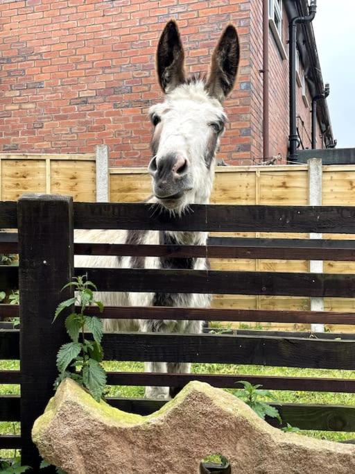 4 Bedroom - Sleep 9 Home In Cheadle Staffordshire - Alton Towers Polar Express Dimmingsdale Peak District Trentham Gardens Water World Eksteriør bilde