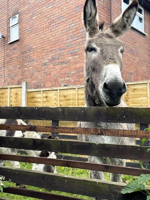 4 Bedroom - Sleep 9 Home In Cheadle Staffordshire - Alton Towers Polar Express Dimmingsdale Peak District Trentham Gardens Water World Eksteriør bilde